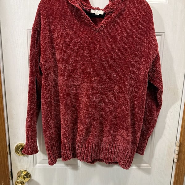 LOFT Hooded Pullover 