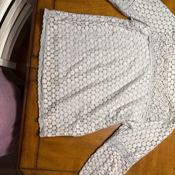 Anthropologie Moth Honeycomb Eyelet Crochet Lace Long Sleeve Sweater Top in Cream/Grey