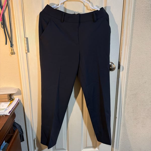 Quince Ultra-Stretch 24/7 Smart Ankle Pant in Black