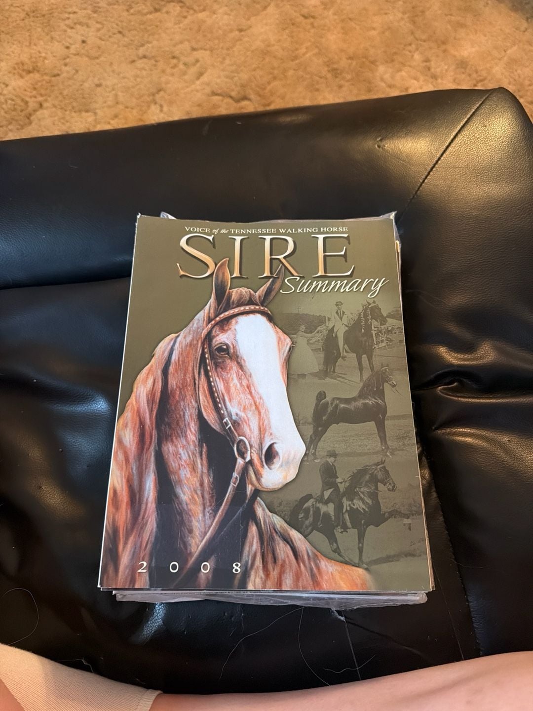 2008 Sire Summary: Voice of the Tennessee Walking Horse Magazine 1