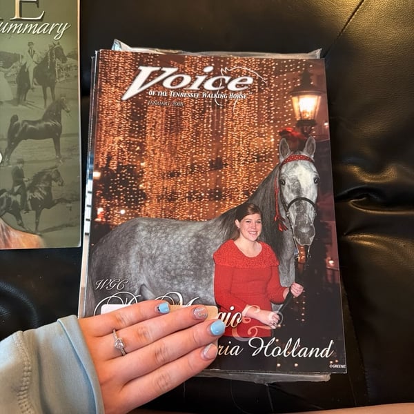 Voice of the Tennessee Walking Horse Magazine January 2008 Maria Holland Issue