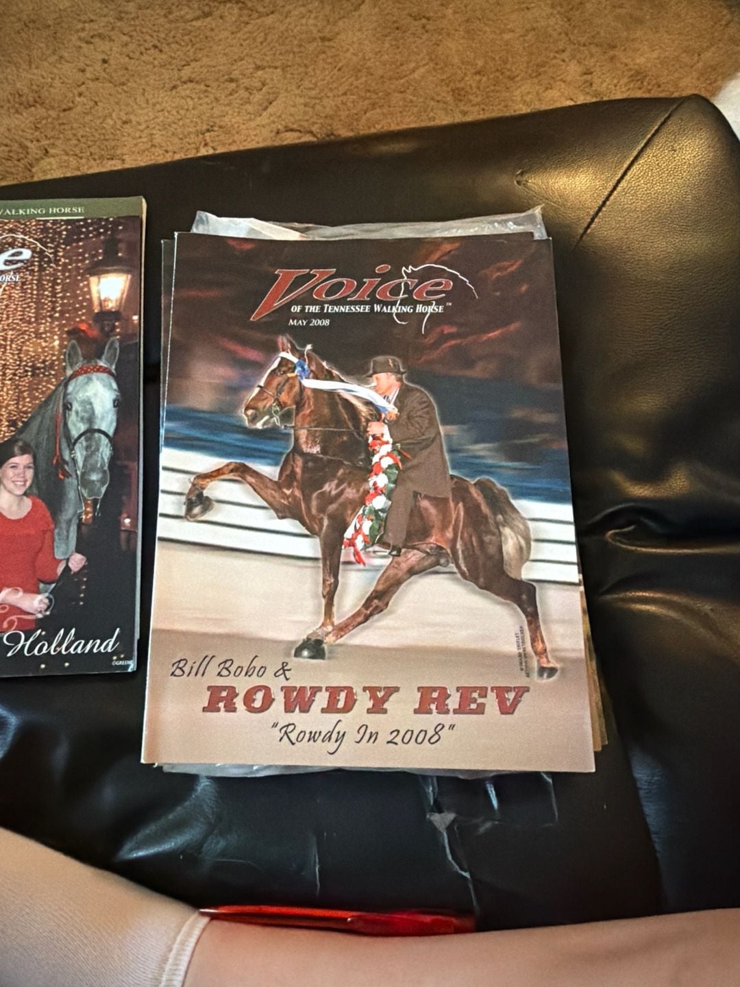 Voice of the Tennessee Walking Horse Magazine May 2008 Bill Bobo Rowdy Rev 1