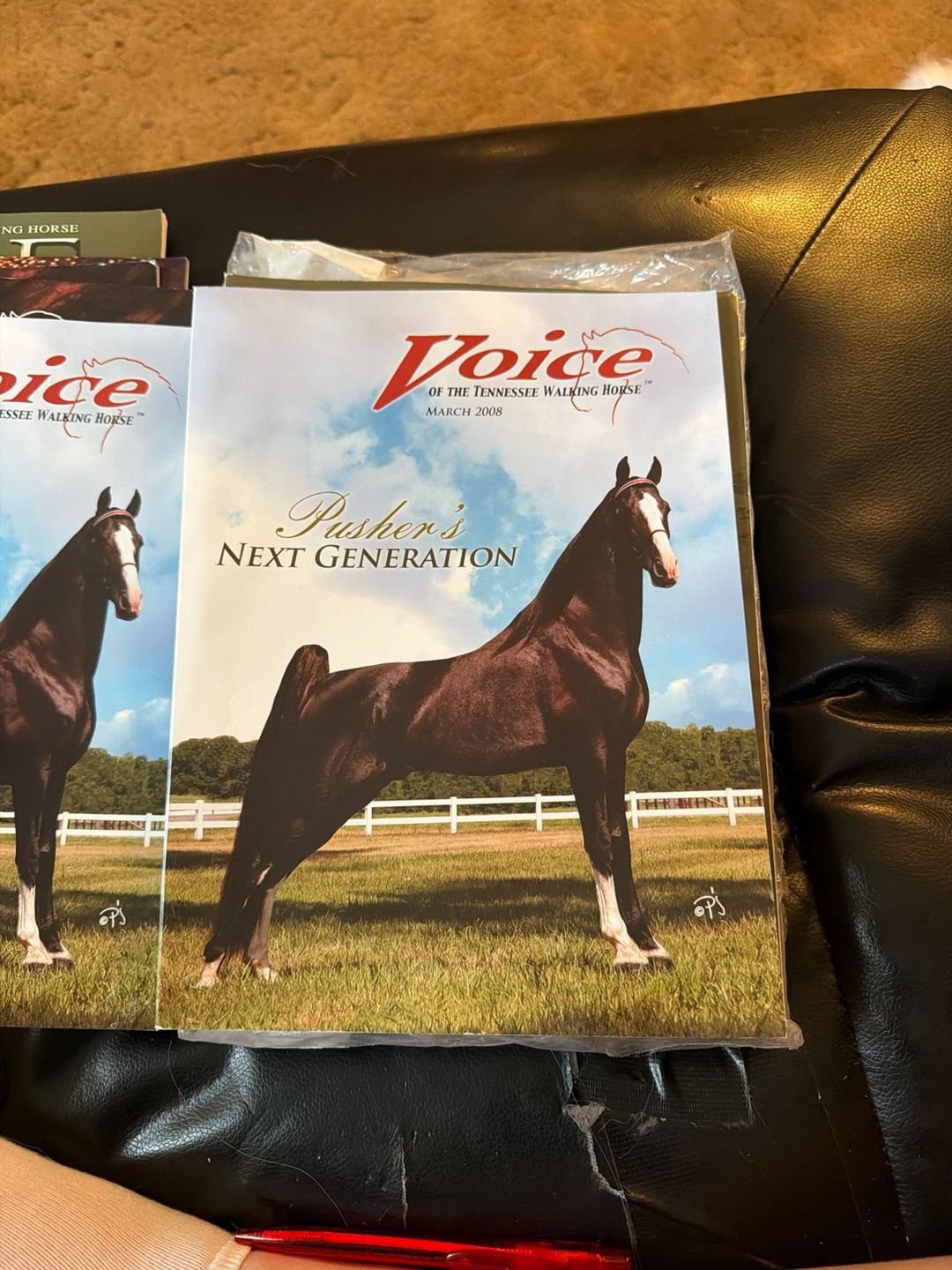 Voice of the Tennessee Walking Horse Magazine March 2008 Pusher's Next Generation 1