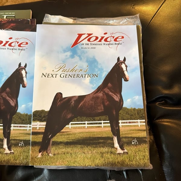 Voice of the Tennessee Walking Horse Magazine March 2008 Pusher's Next Generation