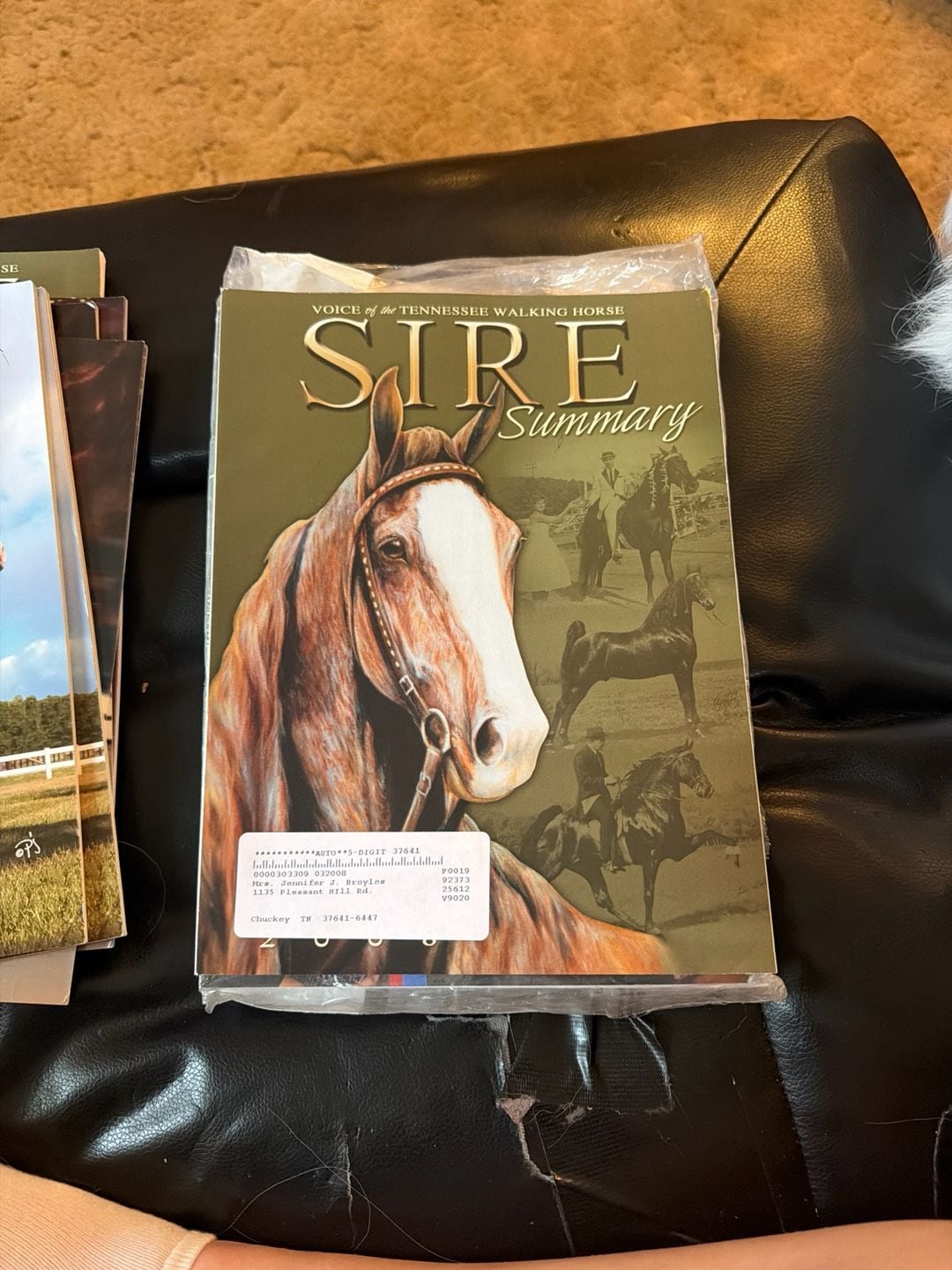 2008 Sire Summary Voice of the Tennessee Walking Horse Magazine 1