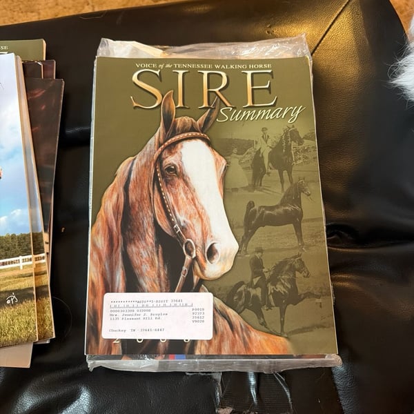 2008 Sire Summary Voice of the Tennessee Walking Horse Magazine