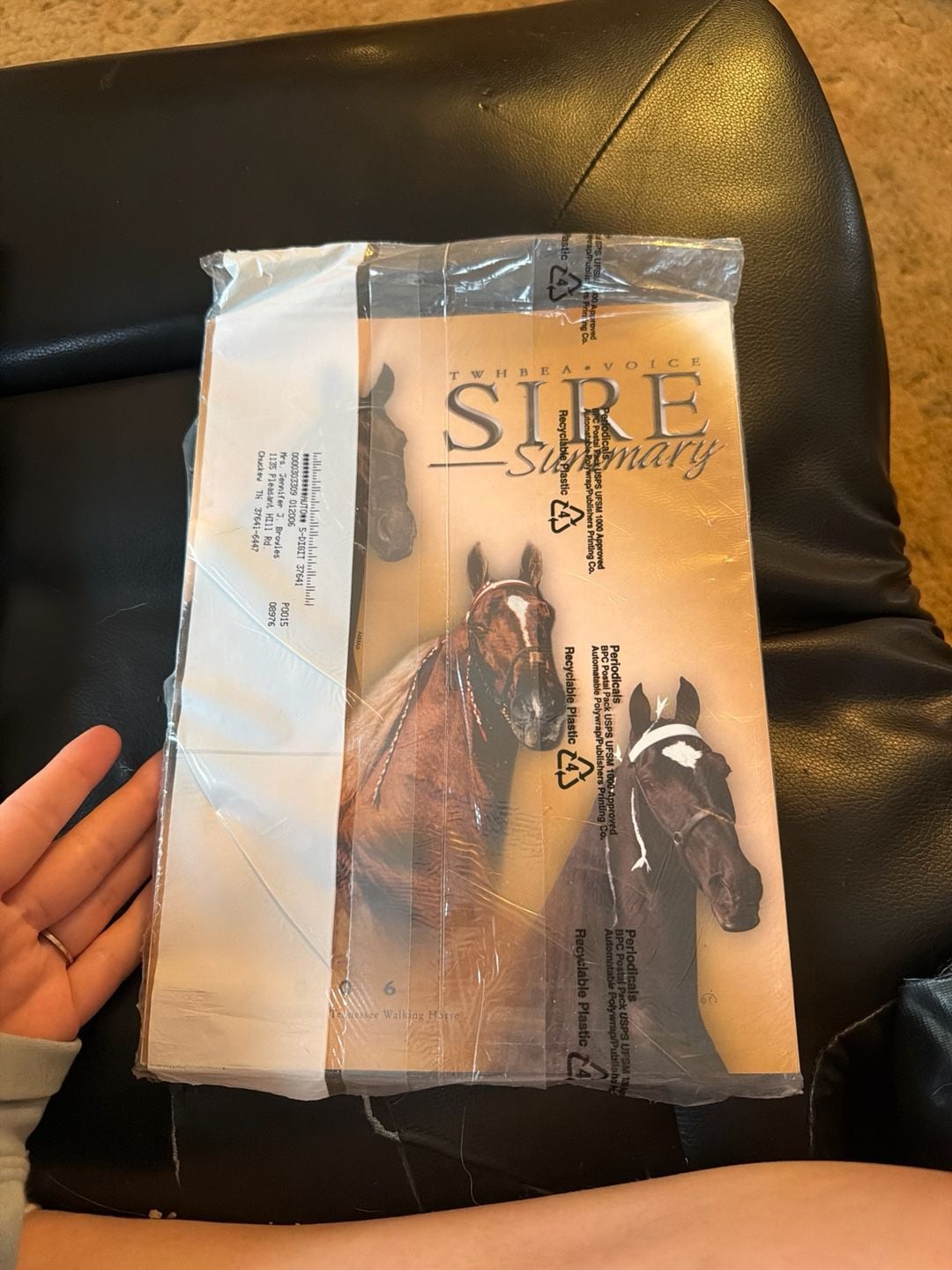 2006 TWHBEA Voice Sire Summary Tennessee Walking Horse Magazine 1