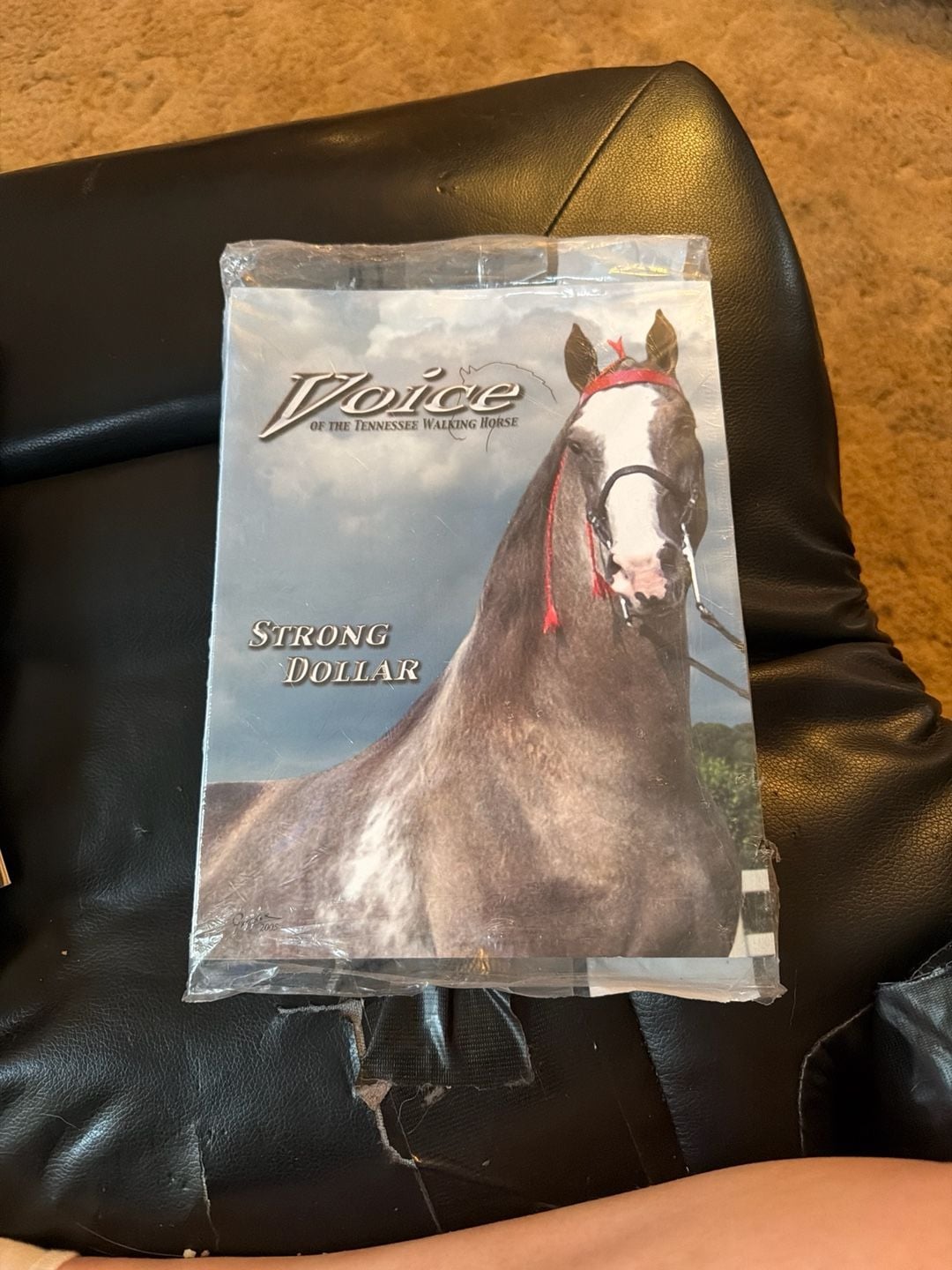 Voice of the Tennessee Walking Horse Magazine - Strong Dollar Issue 1