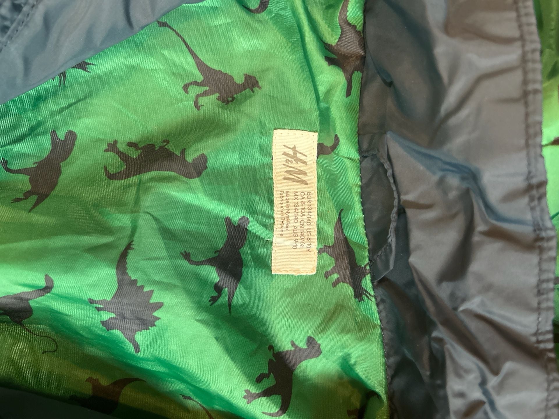 H&M Boys Navy Blue Dinosaur Windbreaker Hooded Jacket with Graphic Back 6
