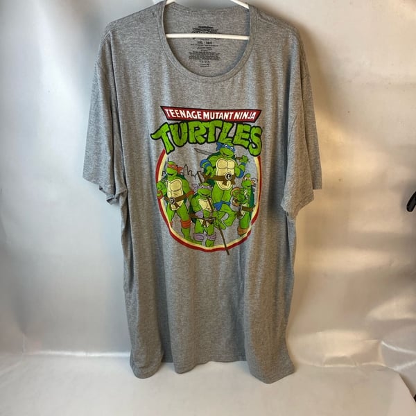 Teenage Mutant Ninja Turtles Men's 3XL Graphic T-Shirt Gray Heather