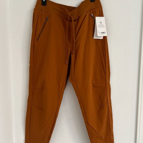 Athleta Trekkie North Jogger in Cattail Brown