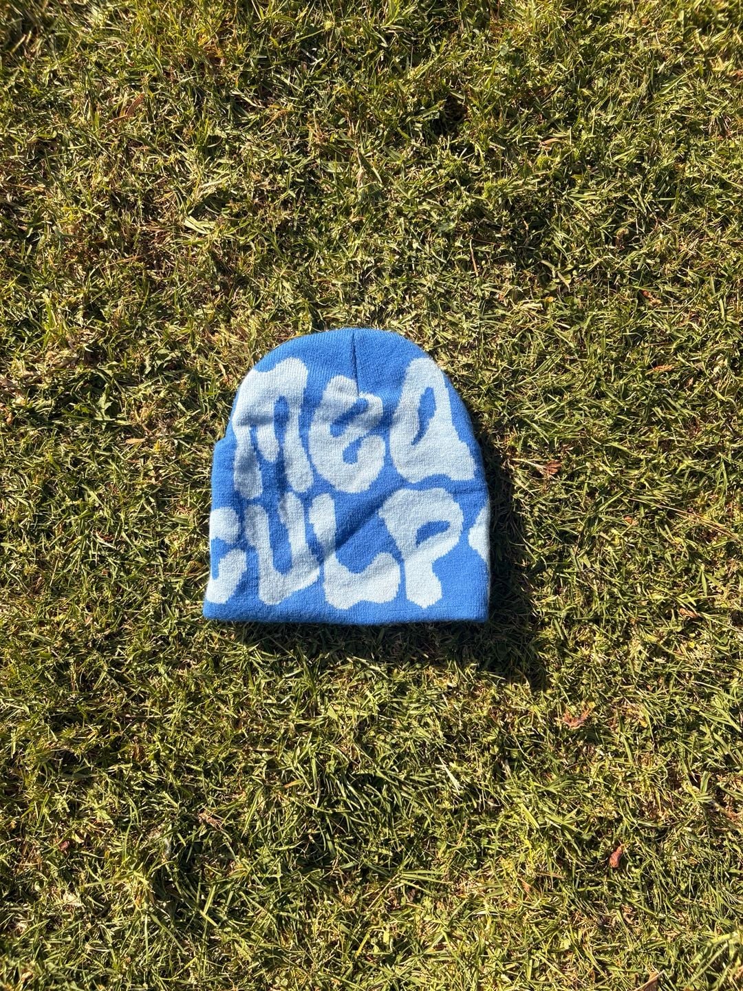Mea Culpa Blue and White Graphic Knit Beanie 2