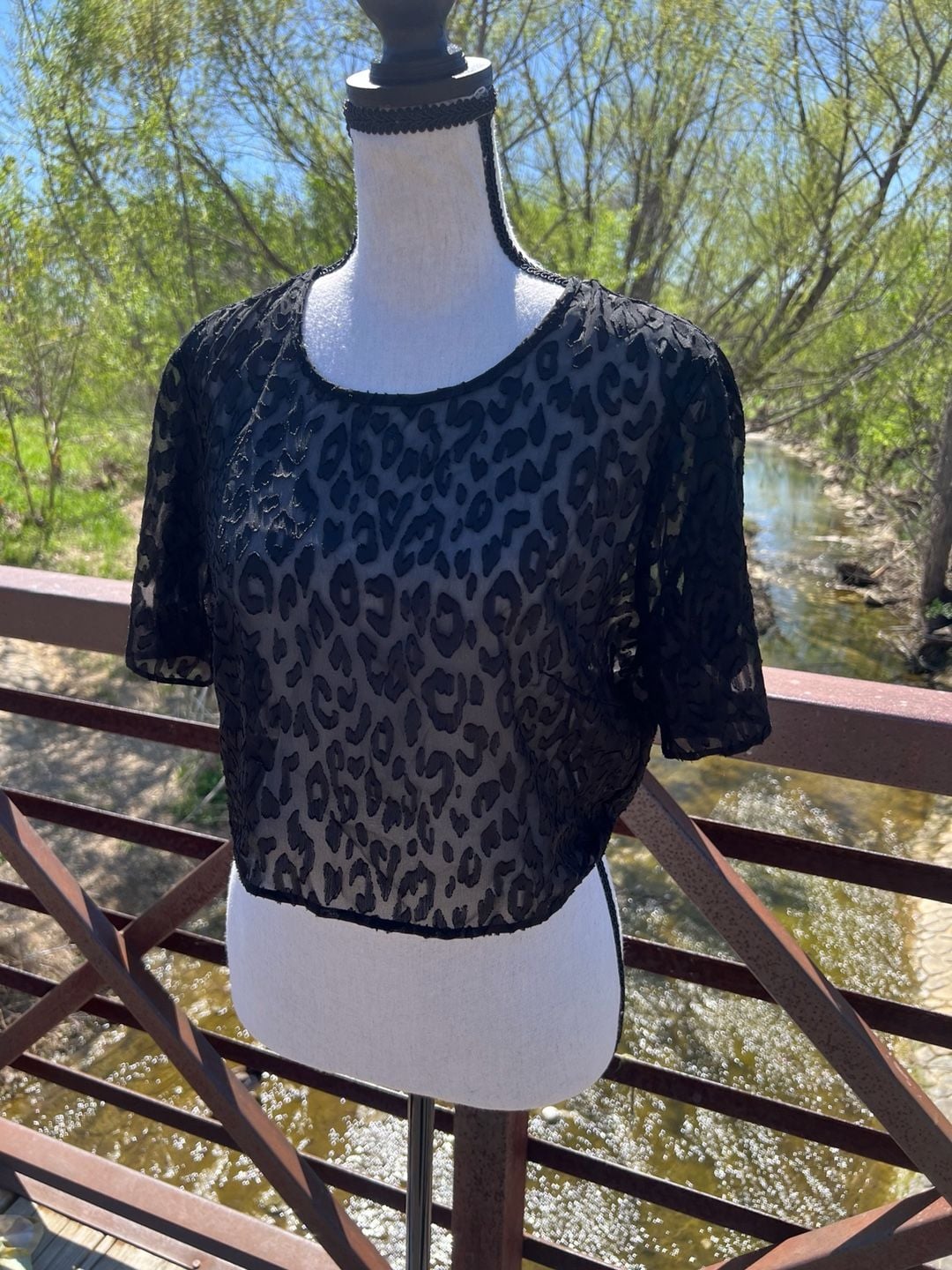 BCBGeneration Black Sheer Leopard Print Lace Short Sleeve Crop Top Size S 2