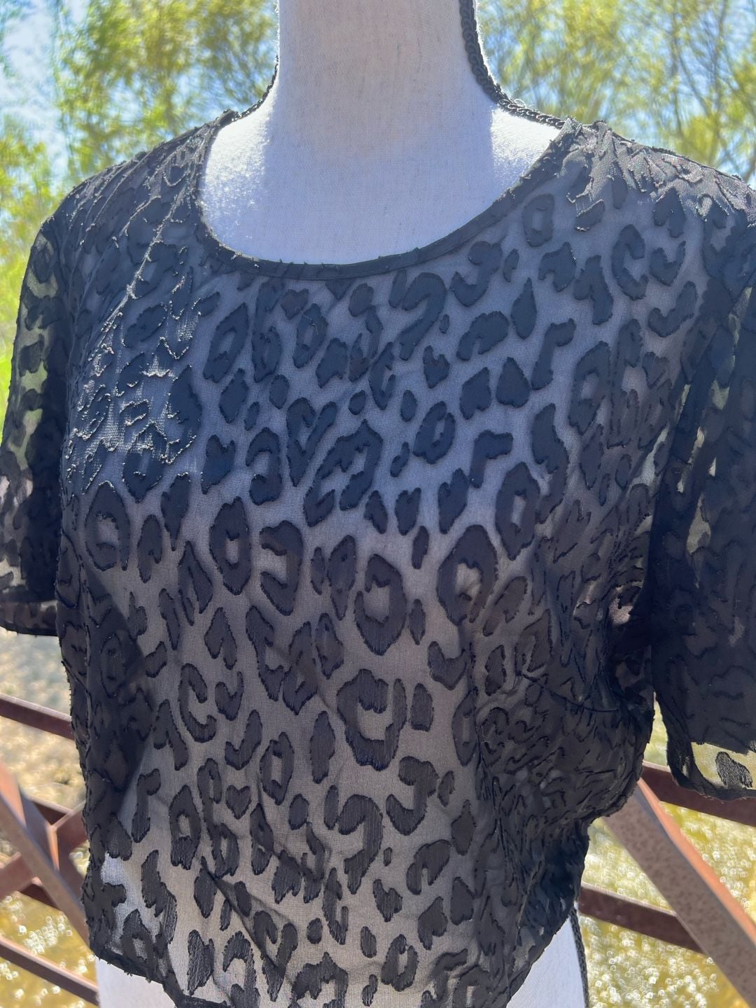 BCBGeneration Black Sheer Leopard Print Lace Short Sleeve Crop Top Size S 3