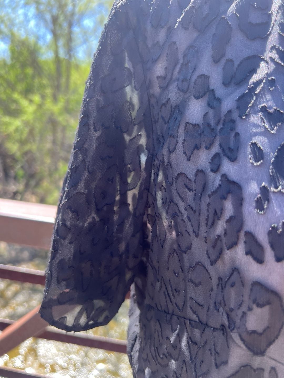 BCBGeneration Black Sheer Leopard Print Lace Short Sleeve Crop Top Size S 6