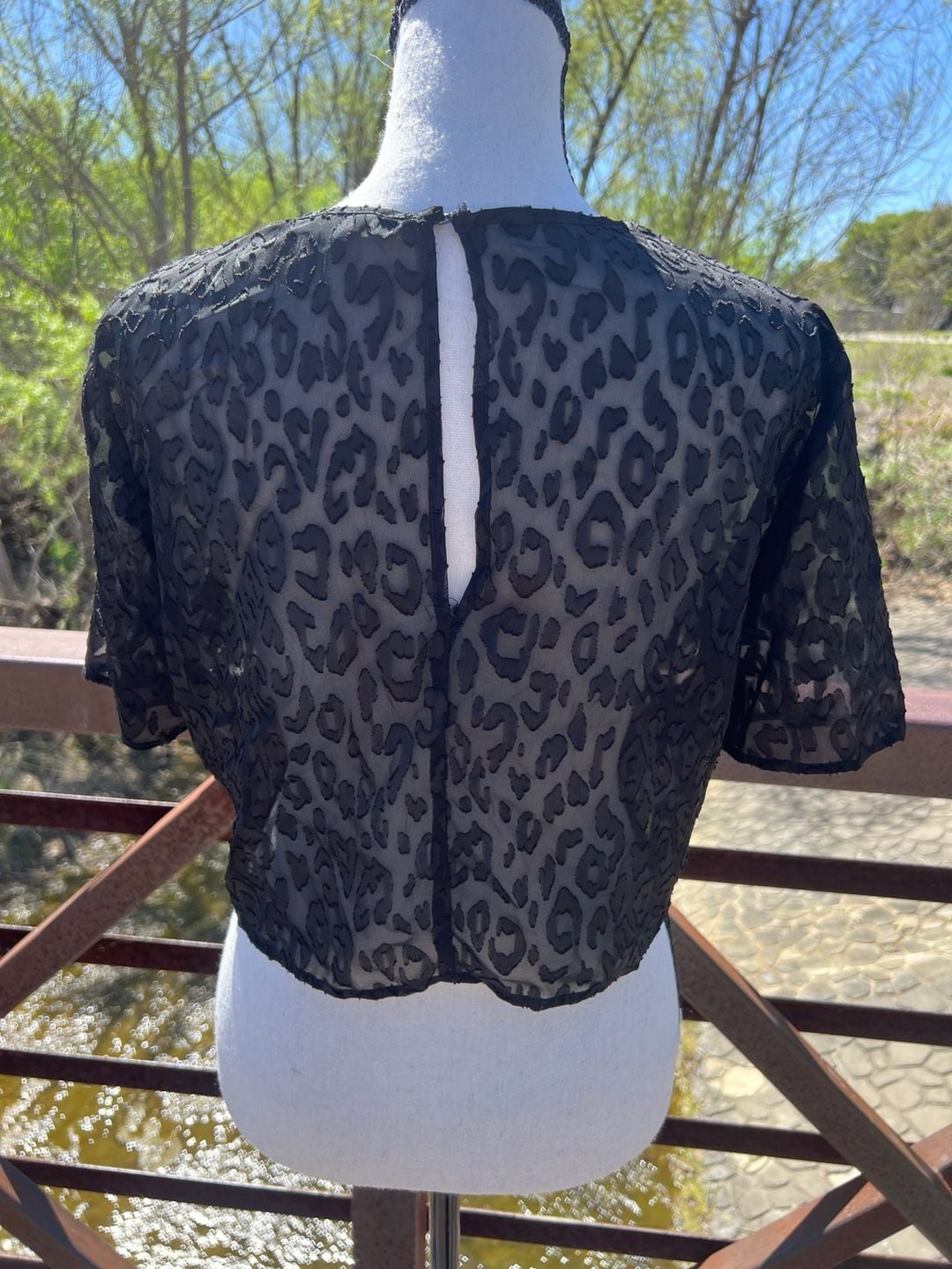 BCBGeneration Black Sheer Leopard Print Lace Short Sleeve Crop Top Size S 7