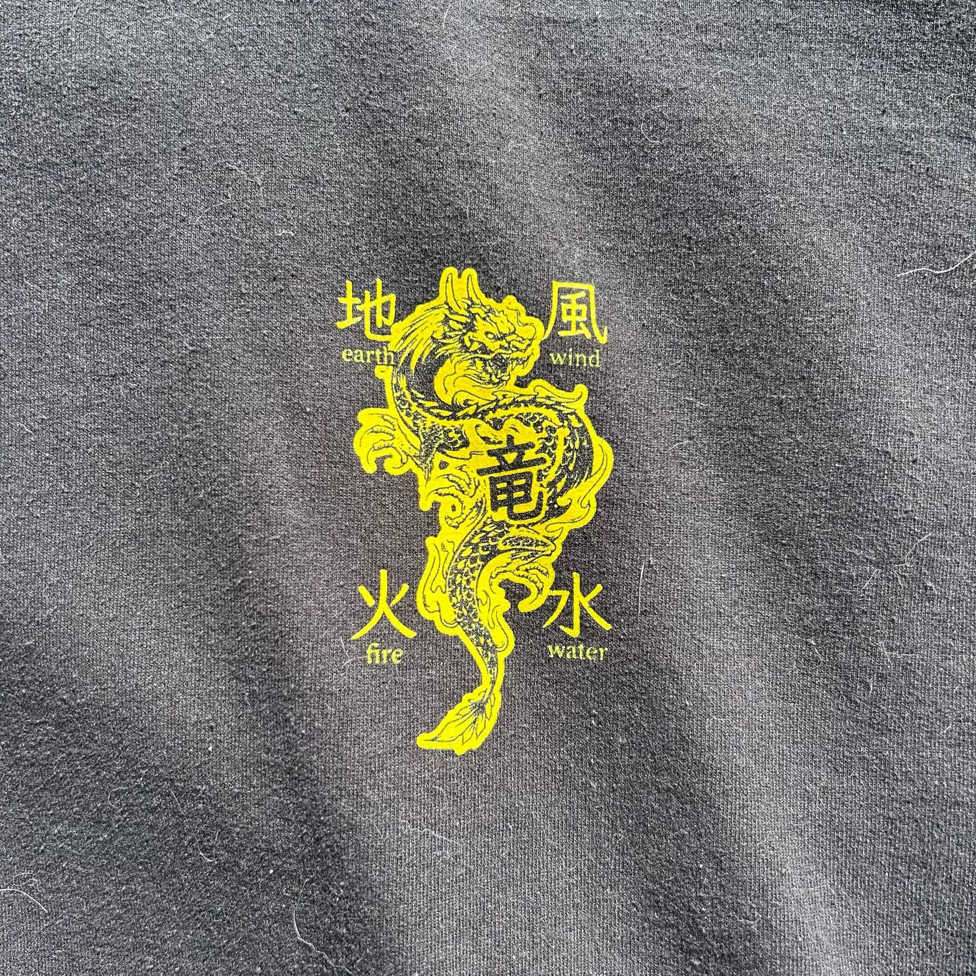 SCW Black Dragon Graphic Hoodie Earth Wind Fire Water Elements 4