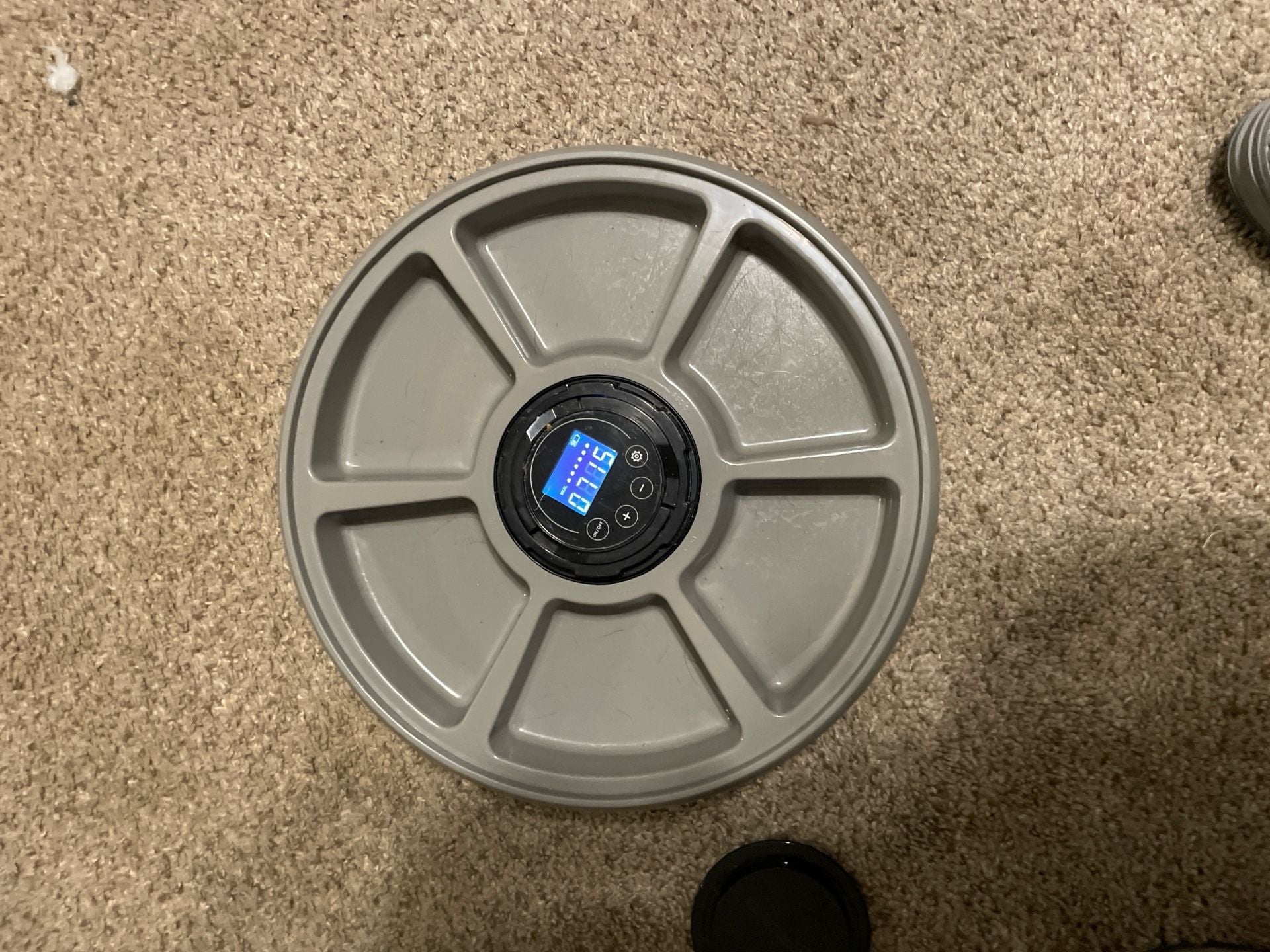 Amazon Basics Automatic Electronic 6-Meal Timed Pet Feeder for Dogs and Cats with LCD Display 3