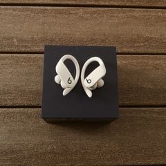 Beats Powerbeats Pro Totally Wireless Earbuds - Ivory 5