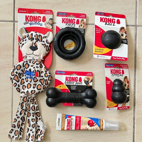 KONG Extreme Dog Toy 6 piece Loot Bundle-Medium