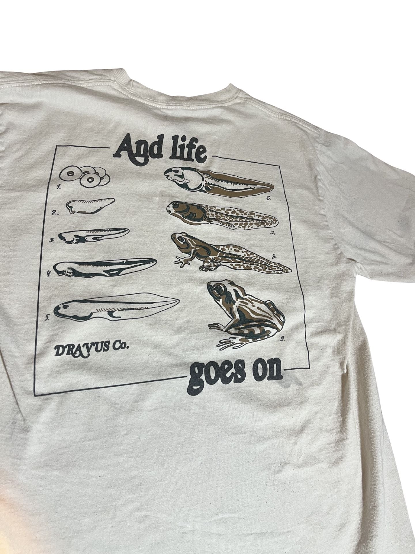 Dravus Co. Wild Wonders Frog Life Cycle Graphic T-Shirt 3