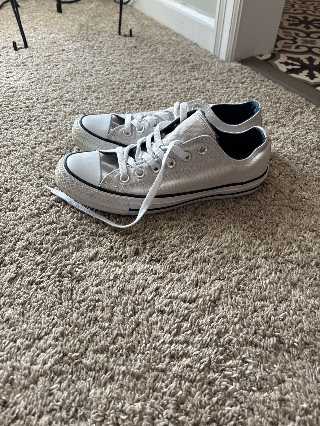 Converse Women's Chuck Taylor All Star Low Top Wolf Grey 5