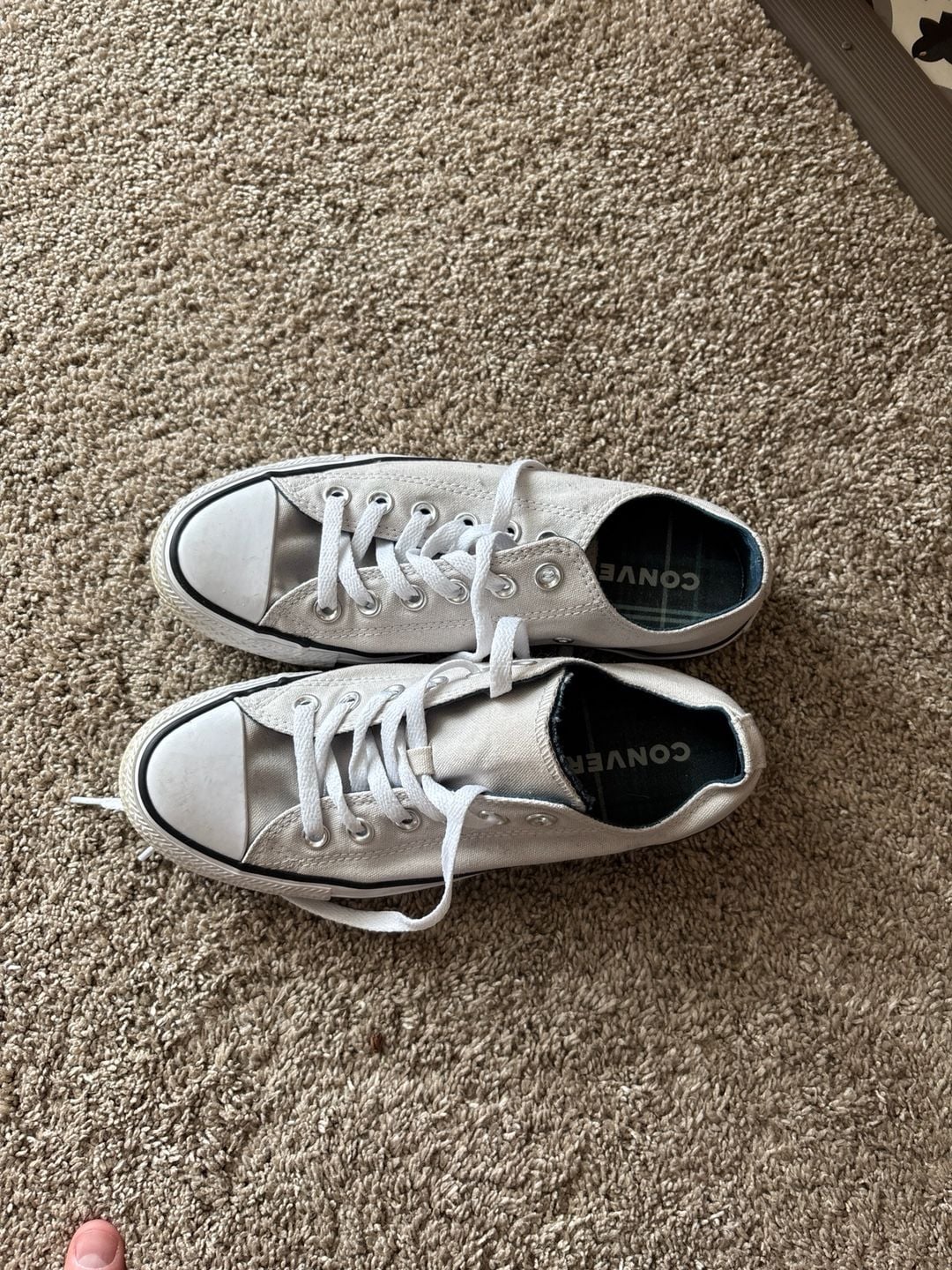 Converse Women's Chuck Taylor All Star Low Top Wolf Grey 6