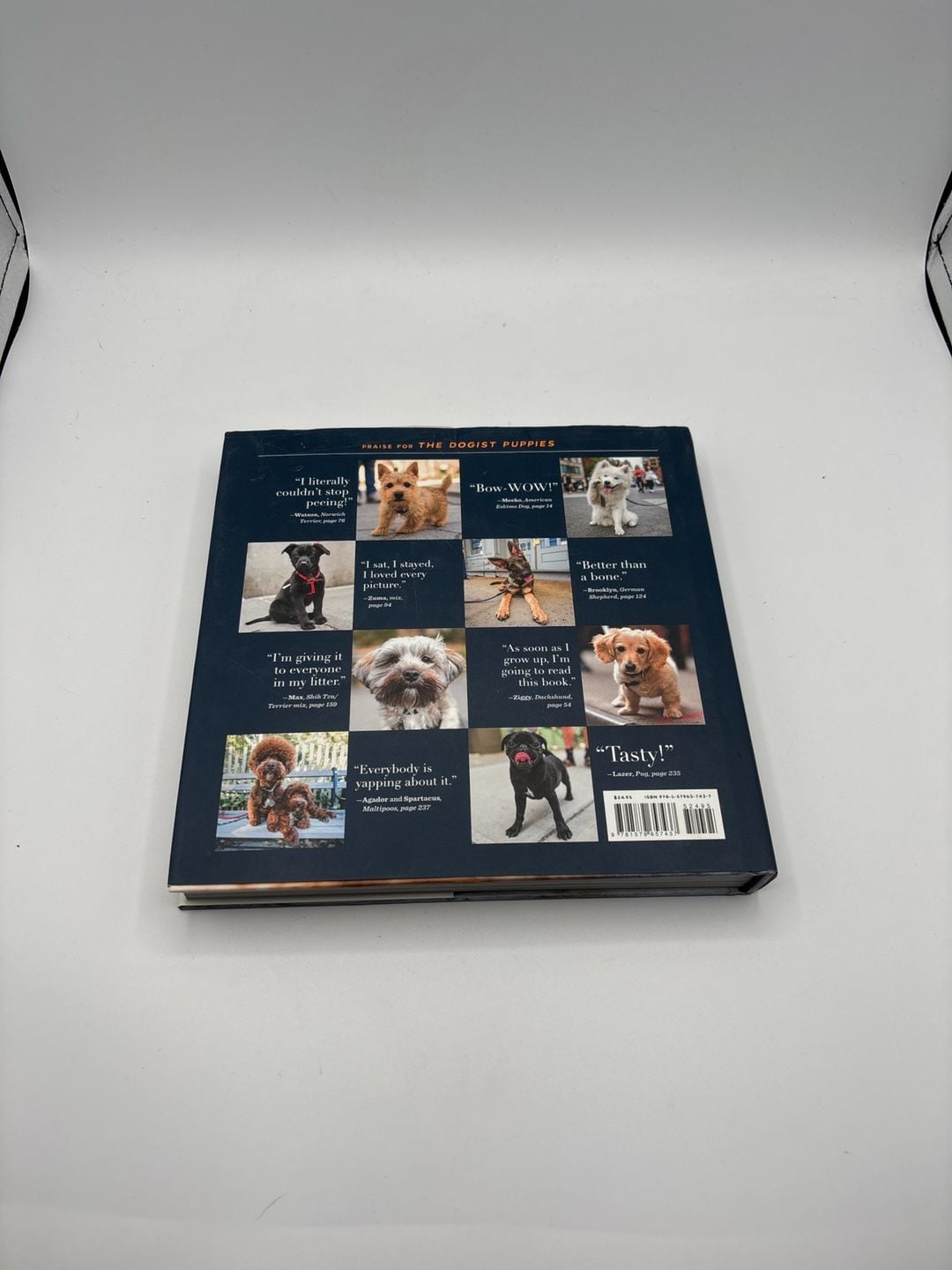 The Dogist Puppies by Elias Weiss Friedman Hardcover Book 2