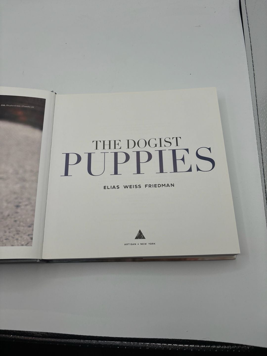 The Dogist Puppies by Elias Weiss Friedman Hardcover Book 3
