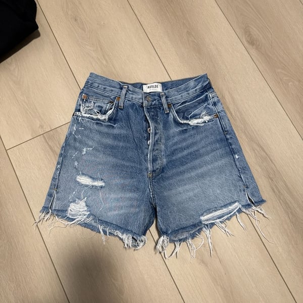 AGOLDE Parker High Rise Distressed Denim Shorts in Swapmeet