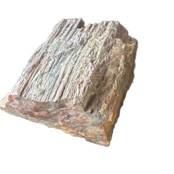 Natural Rough Petrified Wood Log Fragment Fossil Specimen