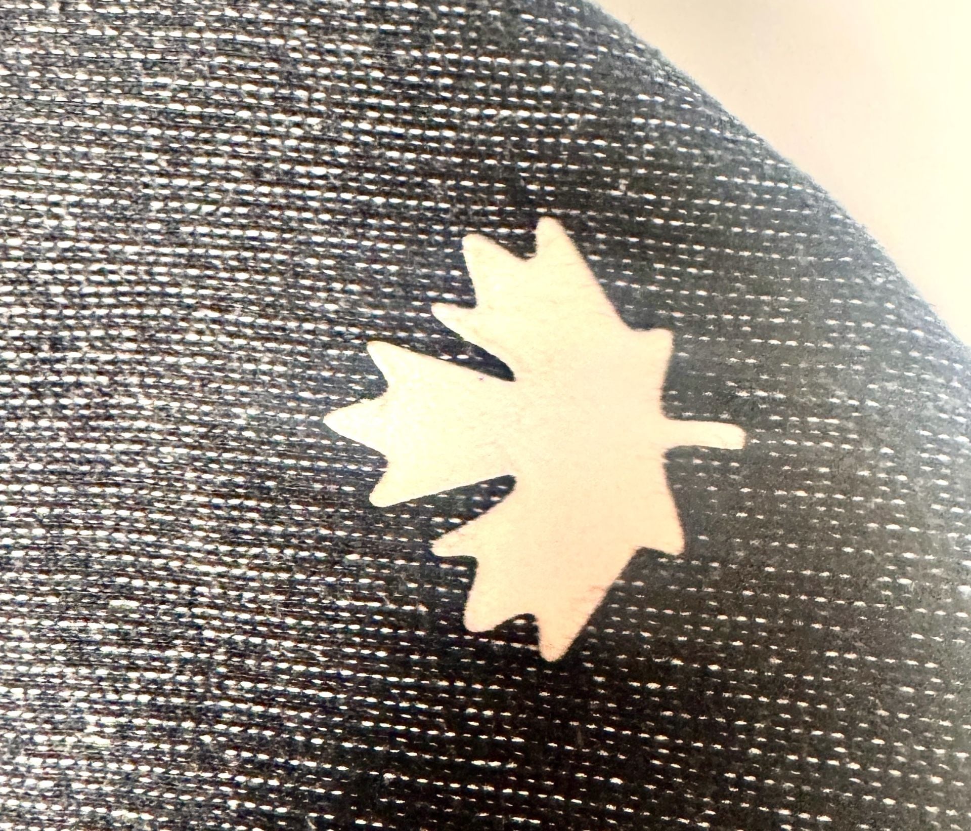 Roots Canada Salt and Pepper Contrast Kanga Hoodie with Beaver Logo 6