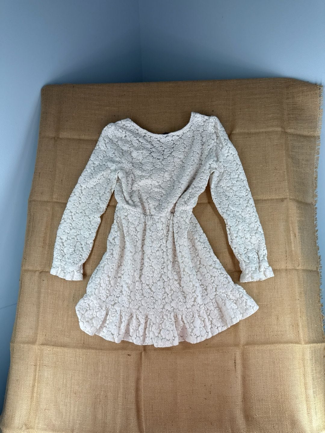 Wild Fable Women's Cream Long Sleeve Brushed Floral Lace Skater Dress 6