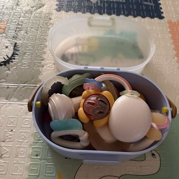 Cuterabit 13-Piece Baby Rattle and Teething Toy Set with Storage Case