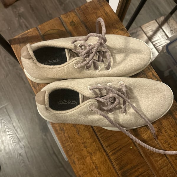 Allbirds Women's Wool Runners in Heathered Beige/Tan