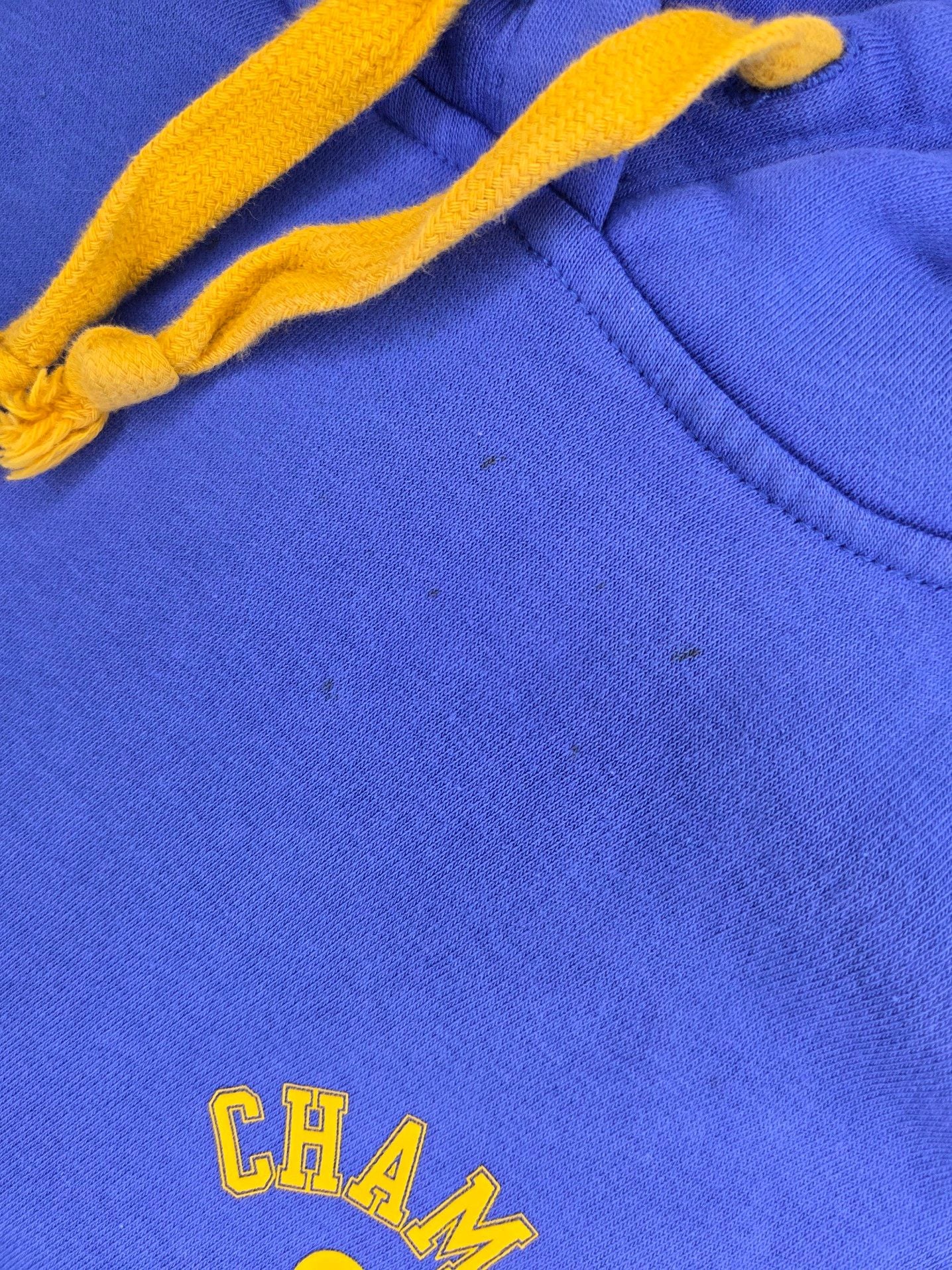 Champion W Powerblend Vintage Wash Hoody – 4