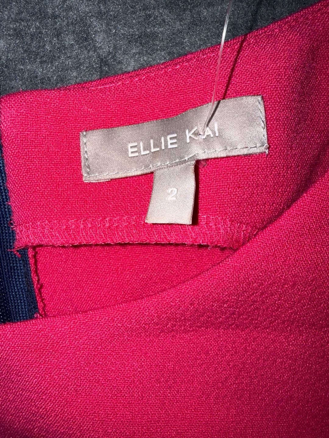 Ellie Kai Pink Sleeveless A-Line Shift Dress with Contrast Back Zipper Size 2 3
