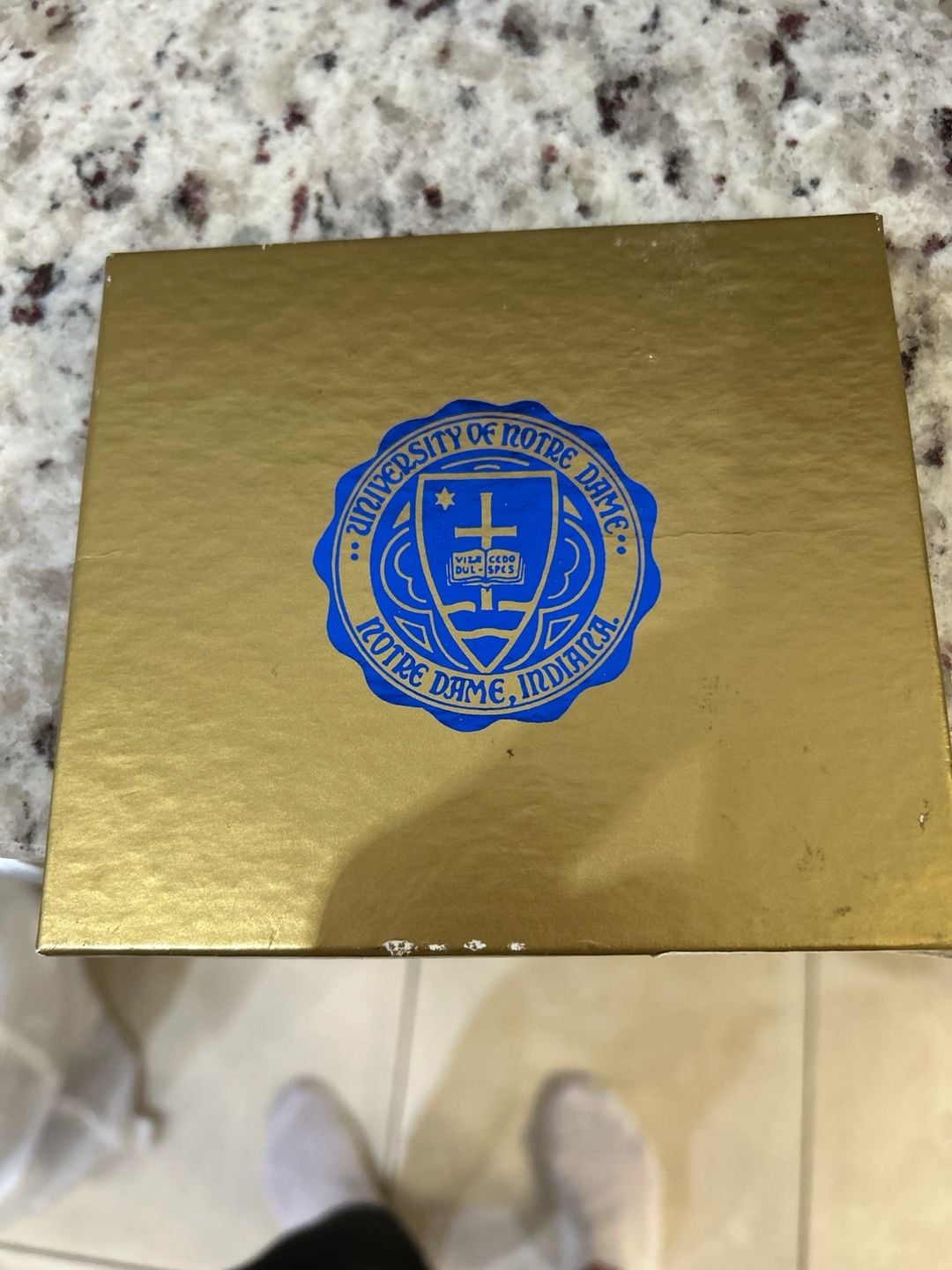 University of Notre Dame 1995 Christmas at the Grotto Annual Christmas Ornament 1