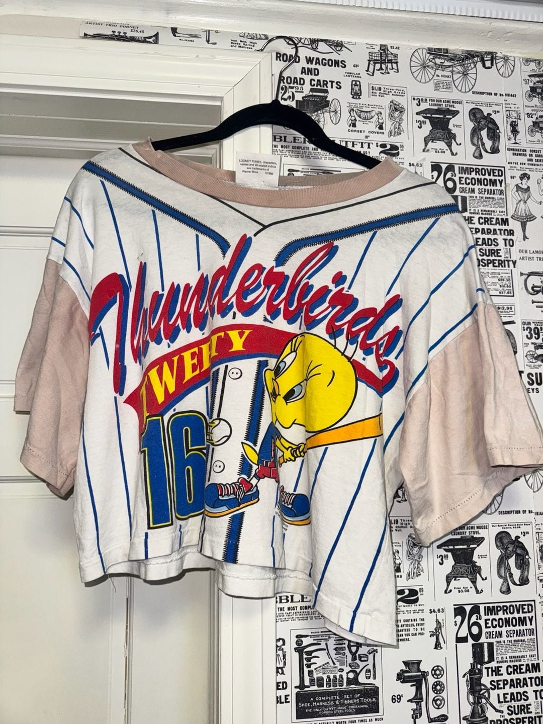 Vintage 1994 Looney Tunes Tweety Bird Thunderbirds Baseball Cropped T-Shirt 1