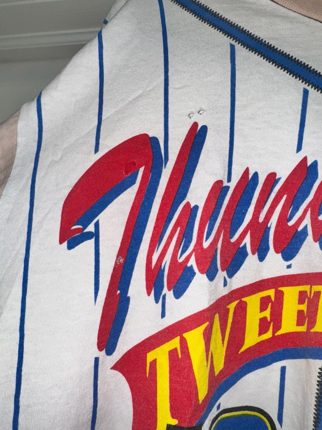 Vintage 1994 Looney Tunes Tweety Bird Thunderbirds Baseball Cropped T-Shirt 3