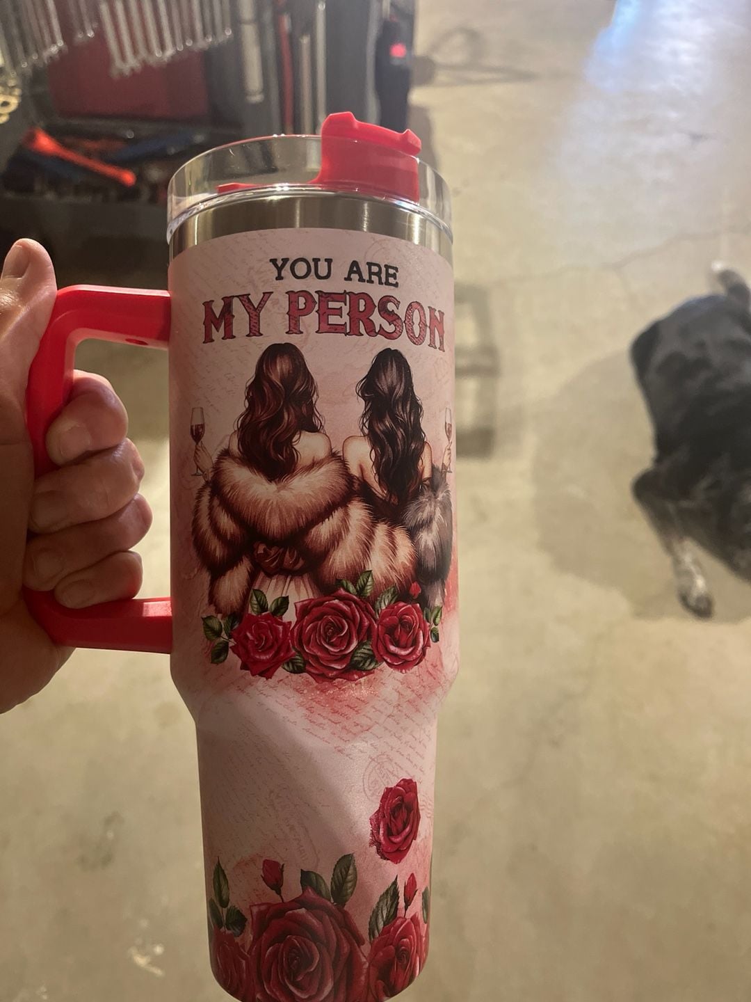 "You Are My Person" Sister 40oz Insulated Travel Tumbler with Handle - Red Roses Design 1