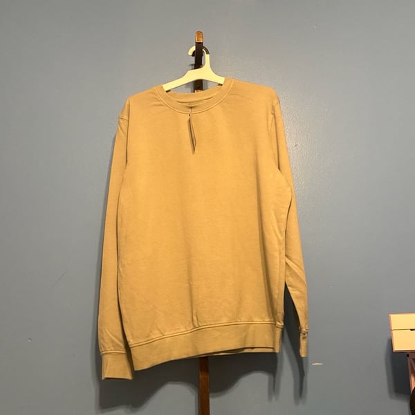 Goodfellow & Co Men's Crewneck Sweatshirt Sage Green Size L