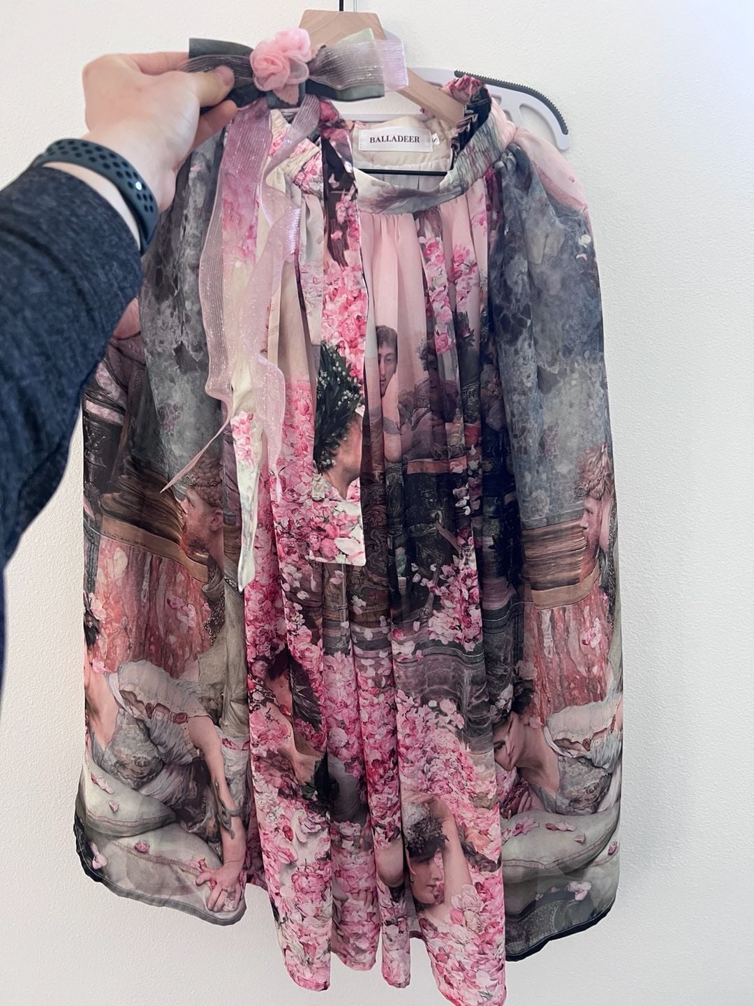 Balladeer The Feast of Roses Painting Print Lolita Skirt Art CLA Elegant Unique Coquette 9