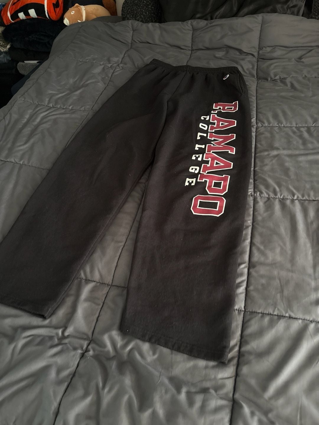 Champion Ramapo College Powerblend Fleece Joggers Black 5