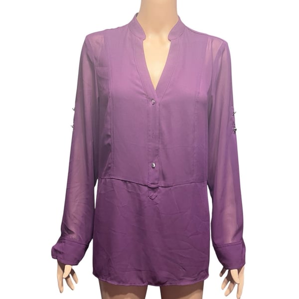 Express Purple Sheer Long Sleeve Portofino Blouse