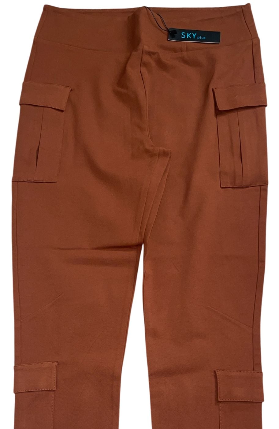 SKY plus Rust Orange High Waisted Multiple Cargo Pocket Pants 3
