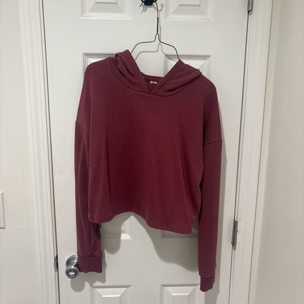 Brandy Melville Maroon Zelly Cropped Pullover Hoodie