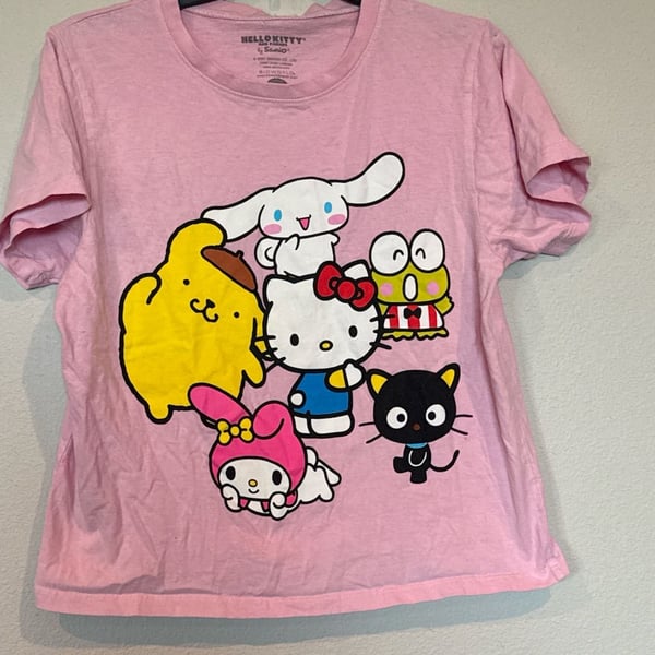 Sanrio Hello Kitty and Friends Pink Graphic T-Shirt
