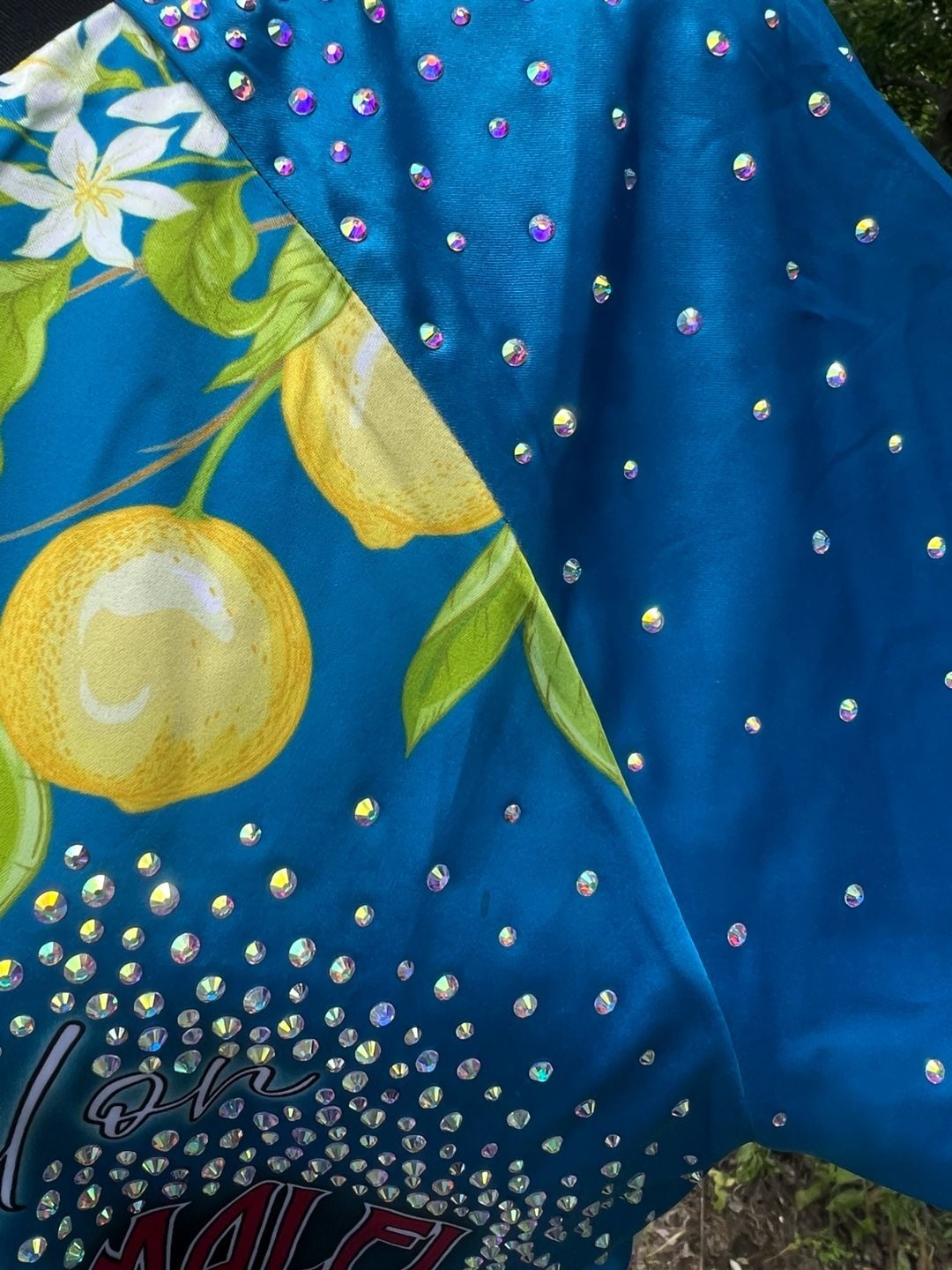 Rebel Athletic Rebel on the Amalfi Coast Crystal Embellished Bomber Jacket 4