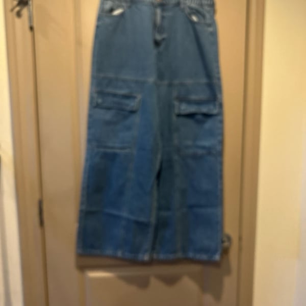 Forever 21 Wide Leg Denim Cargo Pants Size 31